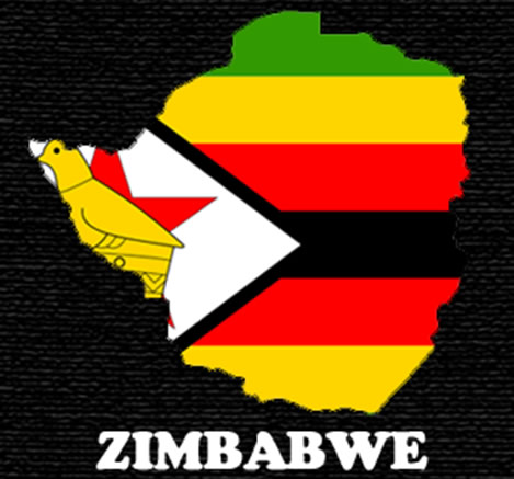 Zimbabwe: Constitutional Court Upholds Mugabe’s July 31st Poll Date