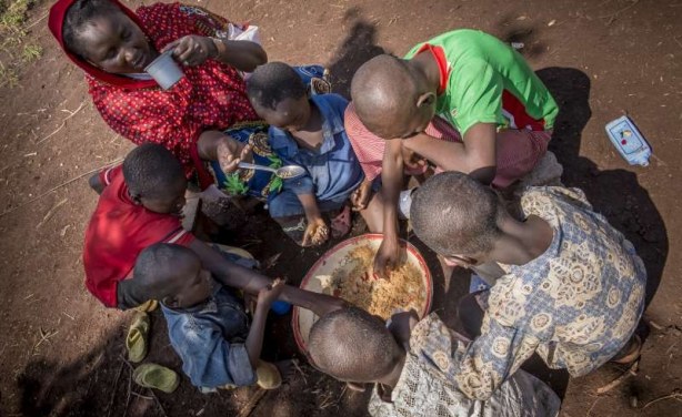 UN Reports: World hunger falls