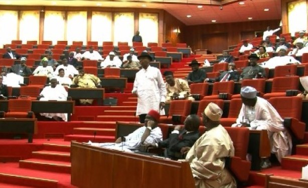 Race is On for Nigeria’s Senate Presidency
