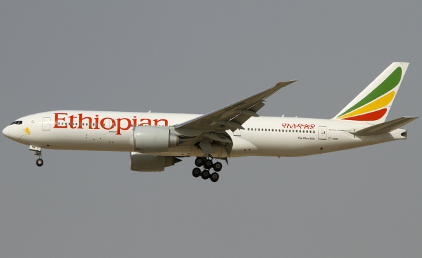 Ethiopian Airlines Offers Discount for Diaspora