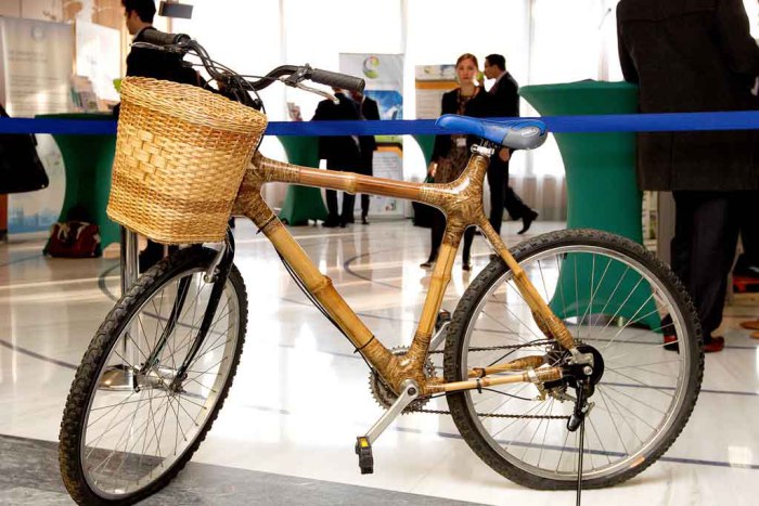 Find Out Why A 15 Years Old Girl Decided To Build Bikes From Bamboo In Ghana