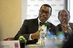 African Development Bank (AfDB) Chief To Focus On Powering Africa