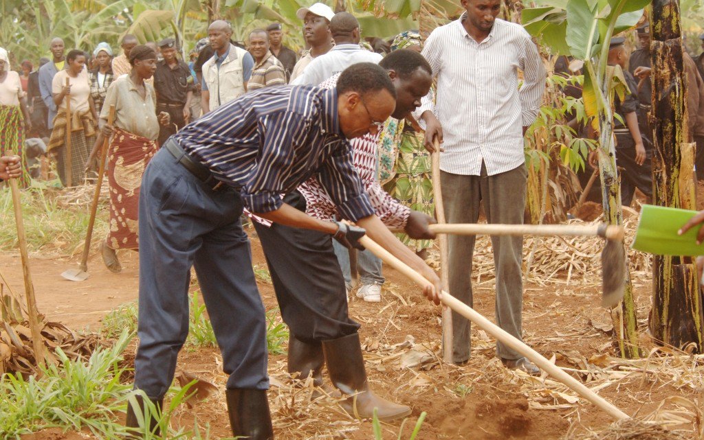 Rwanda planting 30 million trees to save environment