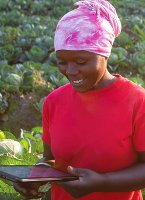 Kenya introduces Online Platform for Agriculture Research Institutions