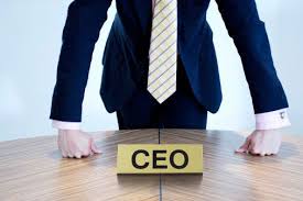 ADVICE FOR ASPIRING CEO’S FROM 7 EXPERIENCED CEO’S