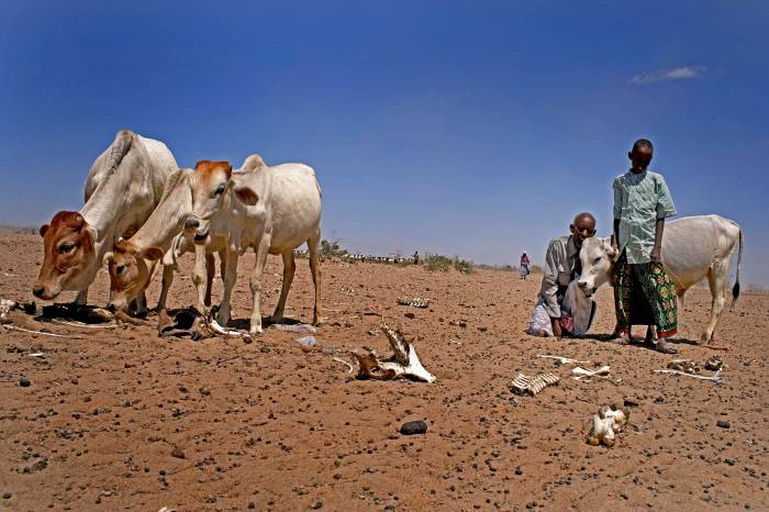 Ethiopia Drought Relief Needs $500M for Support beyond April- WFP