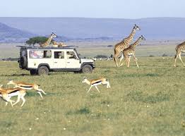 Kenya’s Tourism Industry Expects Recovery in 2018