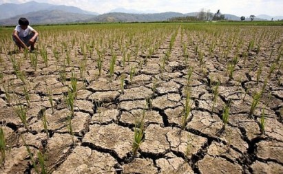 Zimbabwe Seeks Funds to Mitigate Drought