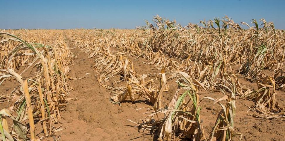 Southern Africa: SADC States to Meet On El Niño