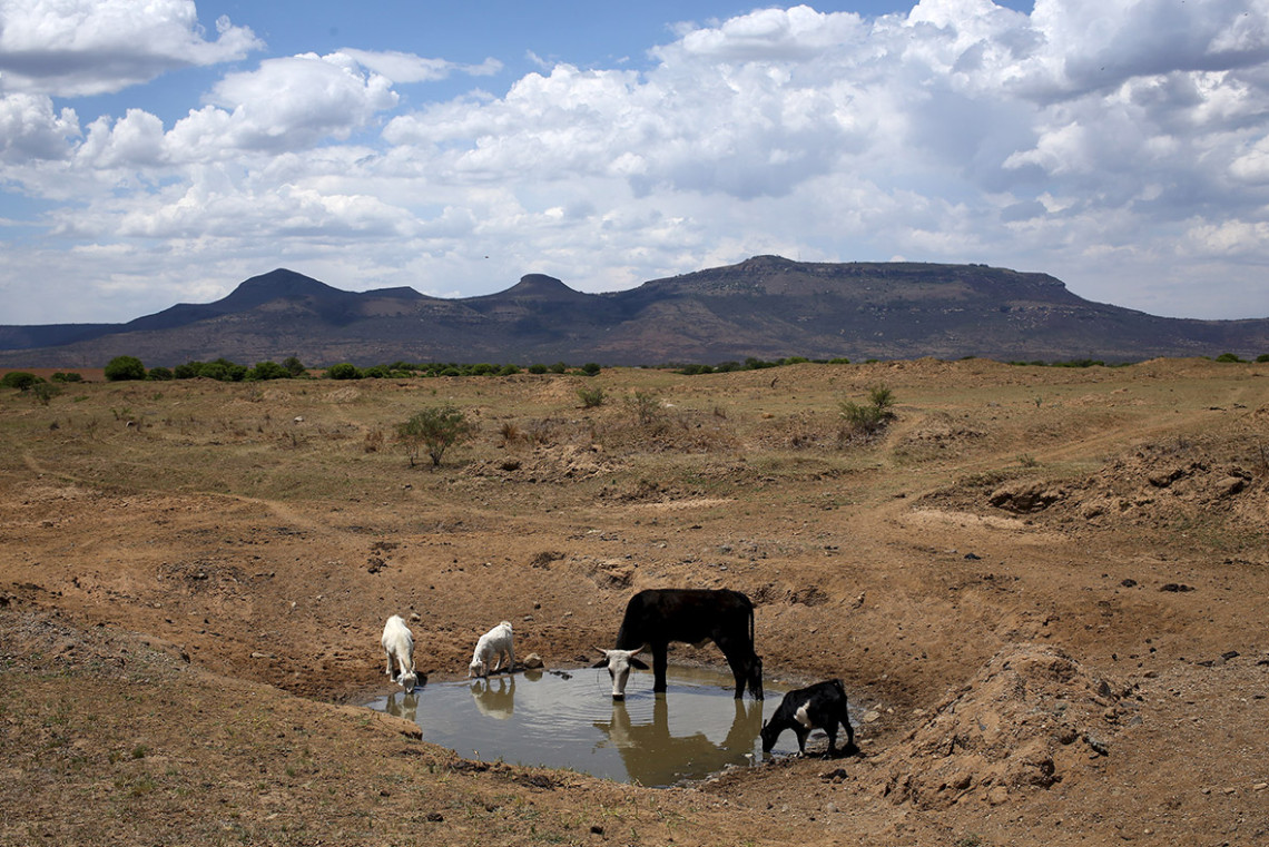 essay on impact of drought in south africa