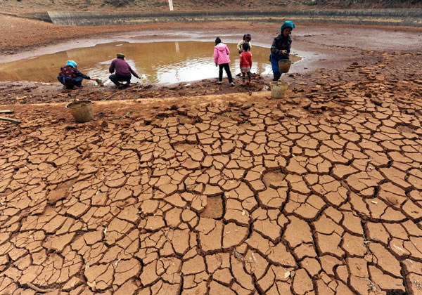 Drought: UNDP Lends Support to Zimbabwe