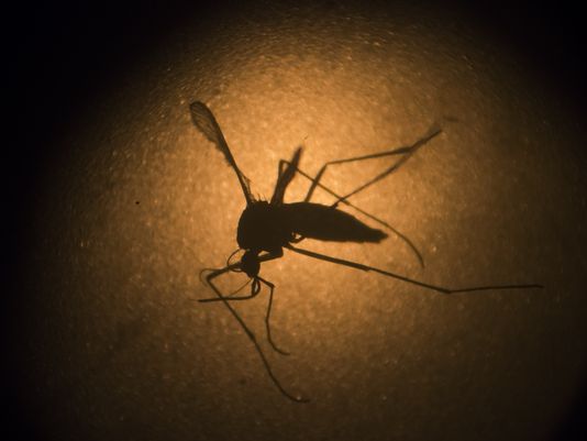 Zika Virus: U.S Reports First Case