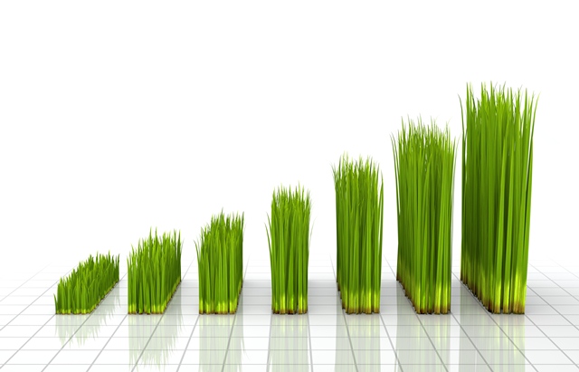 World Bank Boosts Green Growth in Ghana