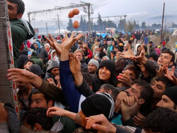 Migrants Scramble for Food, Firewood at Greek Tent City