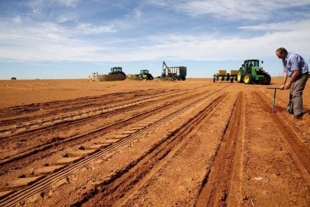 South Africa: Agricultural Sector May Need $1.15Billion to Recover From Drought