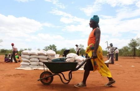 More Zimbabweans Require Food Aid after Drought
