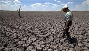 Namibia: Drought Relief for the Unemployed