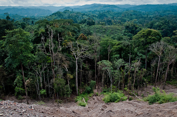 Central Africa: Congo Signs Landmark U.S.$200 Million Deal to Protect Forests