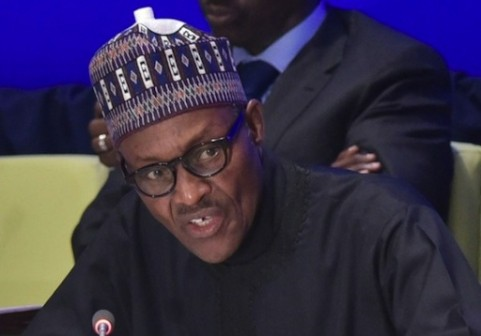 We’ll move Nigeria forward quickly – Buhari to Diaspora Nigerians