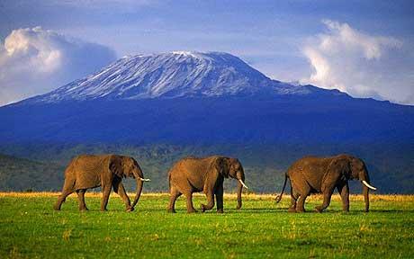 Tanzania: Climate Change Slowly Stifling Life on Mount Kilimanjaro