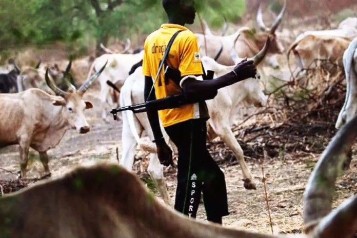 Diaspora Group Condemns Activities of Fulani Herdsmen