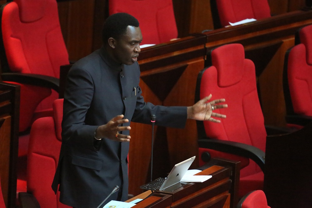 Tanzania: Legislators Advocate for Amendment of Marriage Act