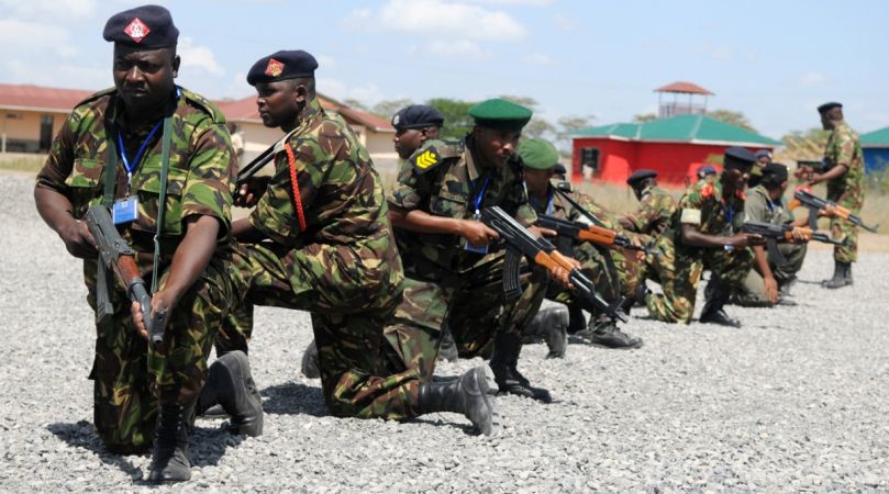 Military Campaign Against al-Shabaab Gains Momentum