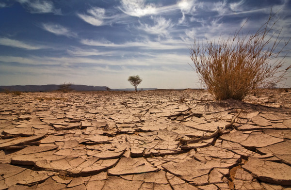 Africa: AfDB to Invest $5billion to Fight Drought