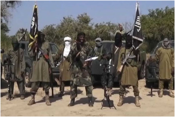 Insurgence: Diaspora Nigerians Seek Investigation of Borno Leaders’