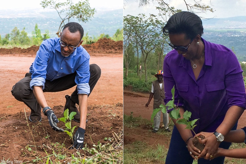 Rwanda: Bank of Kigali to Plant One Million Trees in Climate Change Mitigation Effort