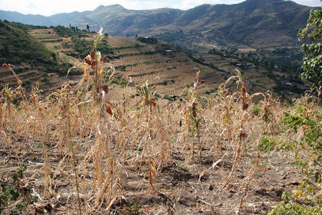 Africa: ‘Monster’ El Niño Subsides, La Niña Hitting Soon