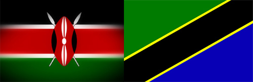 Tanzania to Earn Sh1 Billion Yearly from Airspace