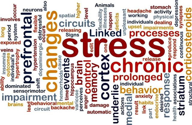 Tips on how to Combat Chronic Stress
