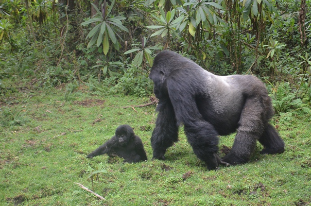 Rwanda Invests U.S. $3.2 Million in Projects to Support Citizens around National Parks