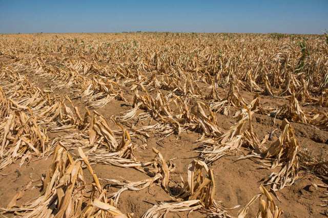 Africa Needs Partner to Battle Drought