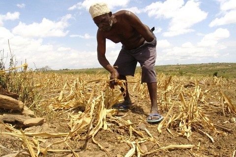 Kenya: Drought Affects about 1.3m People- Gov’t Says