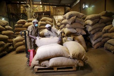 African Economic Growth to Slip to 1.6 Pct This Year: World Bank