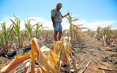 Smarter Farming Could Cut Hunger in Drought-Hit Southern Africa – Researchers