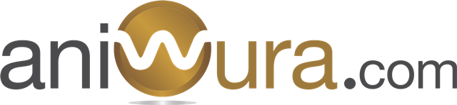 Aniwura.Com Launches Africa’s First Online Multidimensional Marketplace