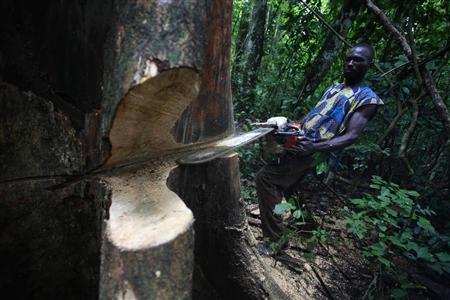 Ivory Coast Evicts Thousands of Cocoa Farmers to Save Forests