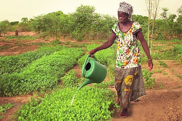 Namibia: Embracing New Technologies Could Benefit Female Farmers
