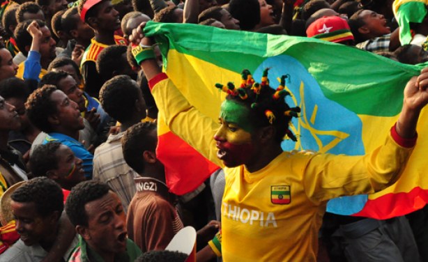 Ethiopian Diaspora Pledge to Contribute to Development