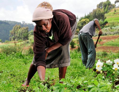Kenya: Women and the Fight for Ownership of Land