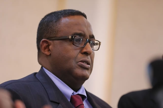 Somali President Appoints Oil Firm Executive as Prime Minister