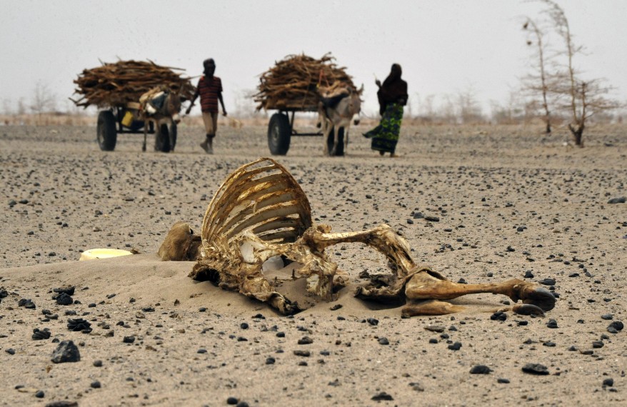Kenya: Number of Those Affected By Drought Rises to 2.7 Million