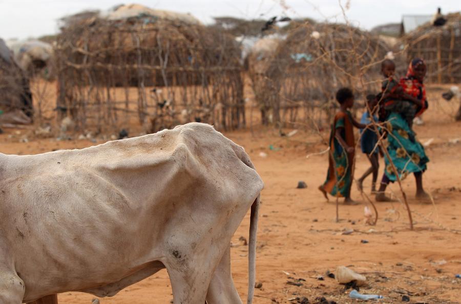 U.N. Urgently Seeks $4Bln Aid to Avert Famine for 20Mln in Africa