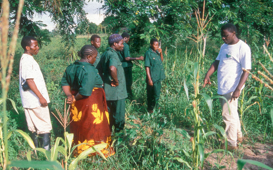 Tanzania: New Initiative to Save Forests Aims at Empowering Women