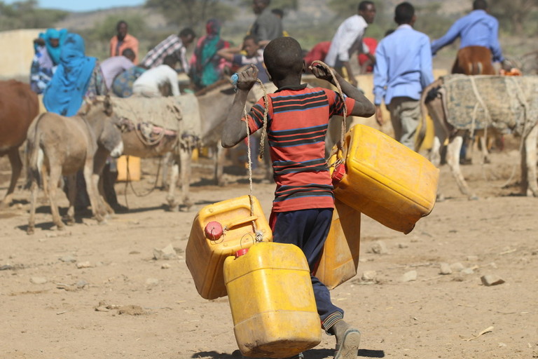 Millions of People across Africa Need Aid Due to Drought