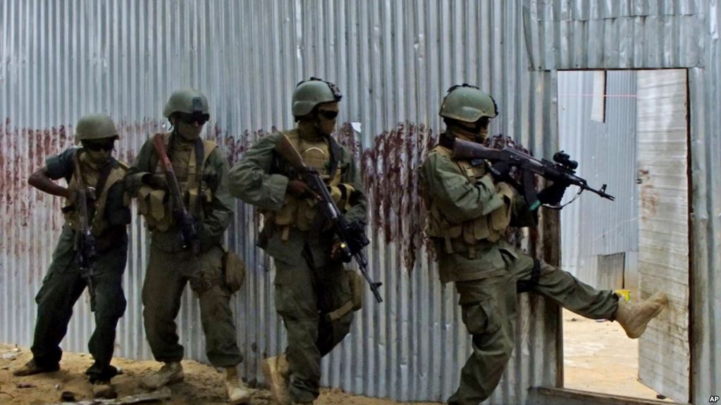Somali, US Military Strike Al-Shabab Training Base