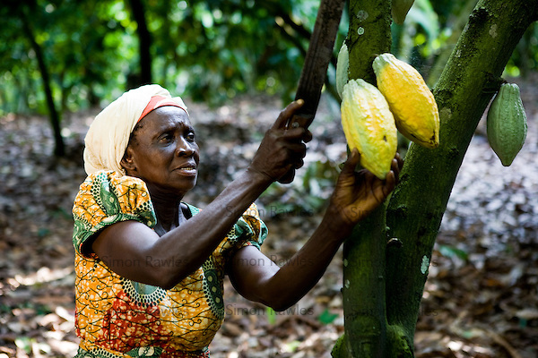 Ghana to Withdraw Stabilization Funds for Farmers